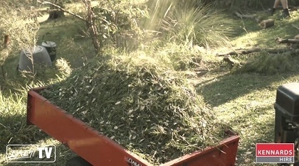 Tree trimmings turned into Mulch